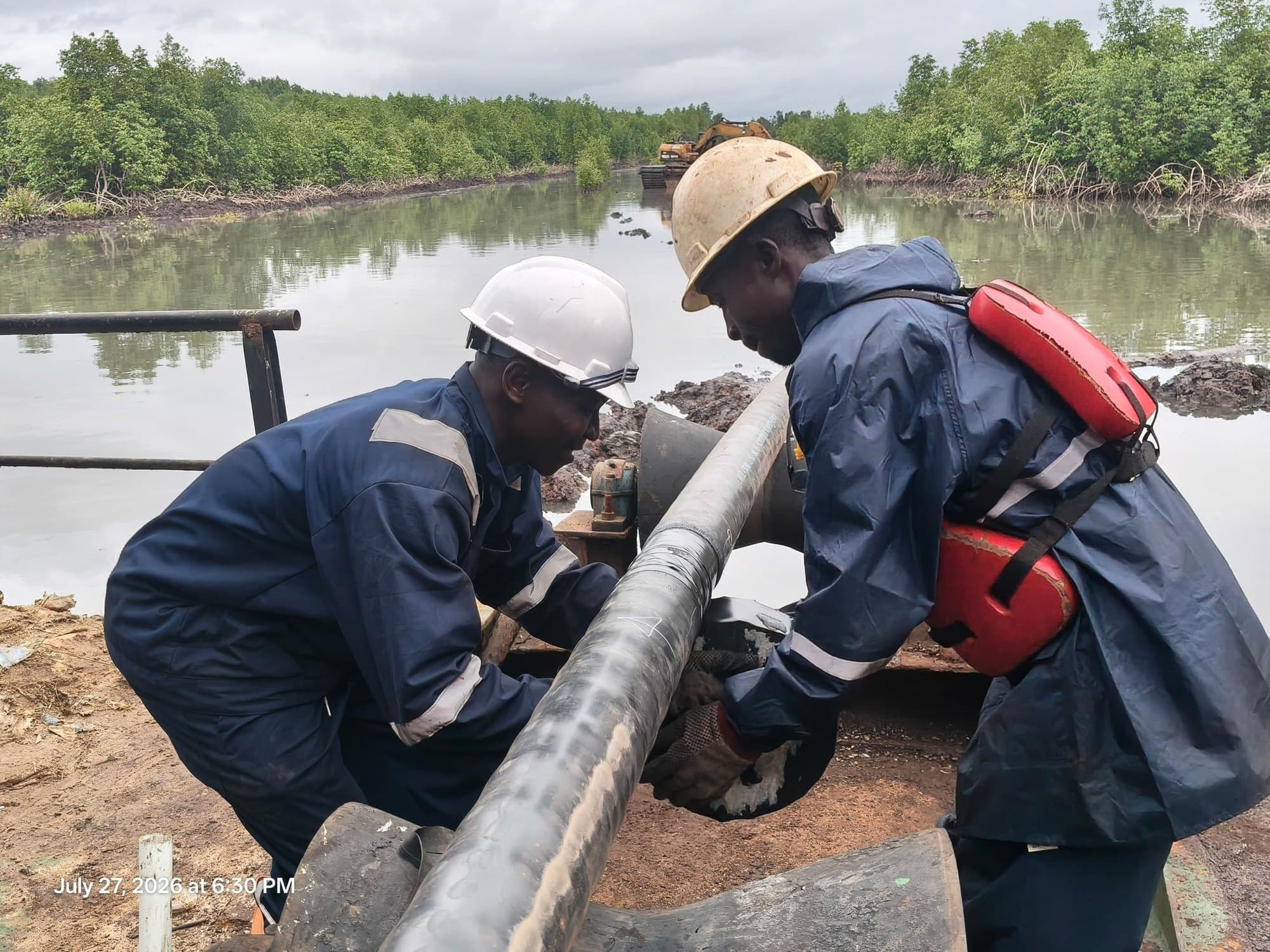 Flowline field inspection